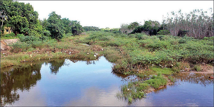 மூழ்கிய நெற்பயிர்கள் - கைவிட்ட குடிமராமத்து... கலக்கத்தில் விவசாயிகள்!