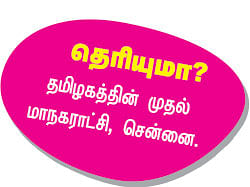 ஆல்பம்