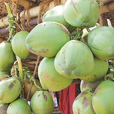 இளநீர்
