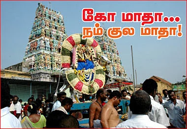 கோ மாதா... நம் குல மாதா!
