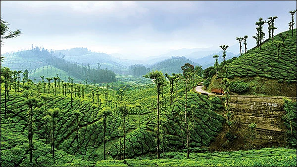 ஆயிரம் சூரியன் ஆயிரம் சந்திரன் ஒரே ஒரு பூமி - 23