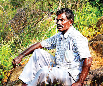 காட்டின் கதாநாயகர்கள்!