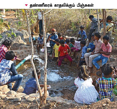 குழந்தைகளுக்காகக் காத்திருக்கும் குயில் கூடு!
