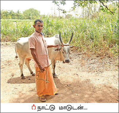 அரை ஏக்கர்... 130 நாள்கள்... ரூ 2 லட்சத்து 60 ஆயிரம் லாபம்!