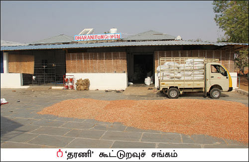 விளையும் விலையும்! - 13