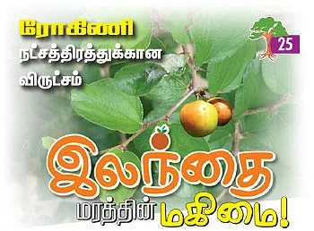 ஆரோக்கியம் அருளும் ஆலய விருட்சங்கள்!