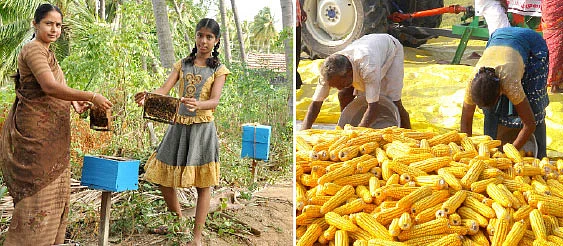 தண்டோரா