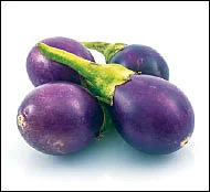 கோடைக்கேற்ற காய்கறிகள்!
