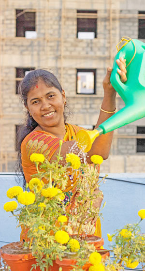 வீட்டுக்குள் விவசாயம் - 4
