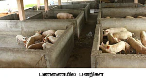 பயிற்சி கொடுத்த பரிசு...!