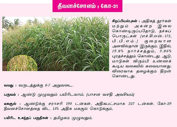 புதுசு...இது,புதுசு !