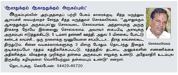 மூலிகை வனம்