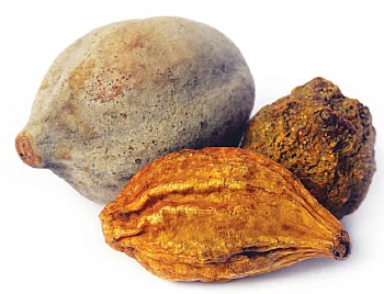 இயற்கை வைத்தியம்