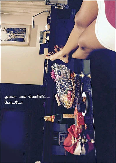 மிஸ்டர் மியாவ்