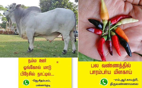 வாட்ஸ்அப் பராக்... பராக்!