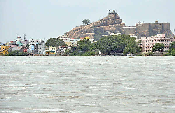 நாரதர் உலா