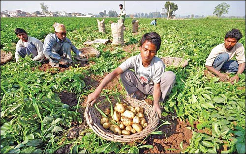 உலகம் சுற்றும் உழவு!