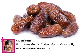 சுட்டி நியூஸ்