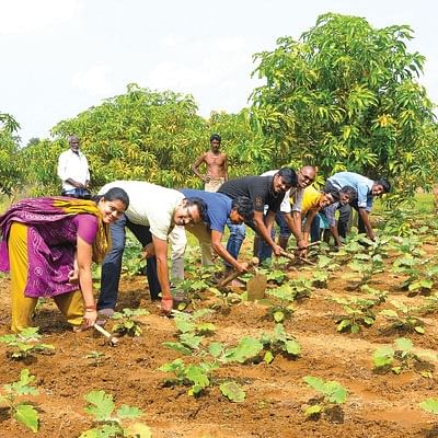 நிலத்தை வளமாக்கும் சணப்பு! - ஒரு நாள் விவசாயி! பருவம்-2