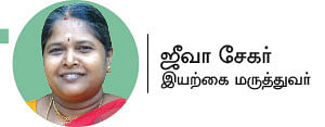 தொண்டைச்சதைக்கு மருந்தாகும் தூதுவளை