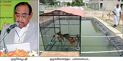 ஜொலித்தது 'சோலார்’...