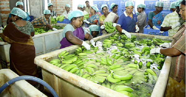 நீங்கள் கேட்டவை