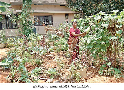 10 சென்ட்... 100 பயிர்...
