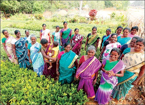அவள் விருதுகள் - சாதனைப் பெண்களின் சங்கமம்