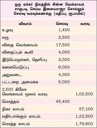 வறட்சியிலும் வளமான லாபம் தரும் சின்ன வெங்காயம்...
