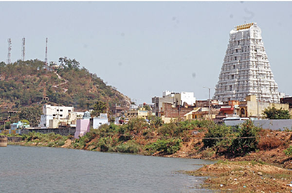 கொஞ்சம் சரித்திரம் கொஞ்சம் தரிசனம்! - ஹம்பி - 10