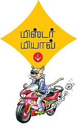 மிஸ்டர் மியாவ்