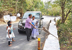 ஏங்க வைத்த ஏற்காடு!