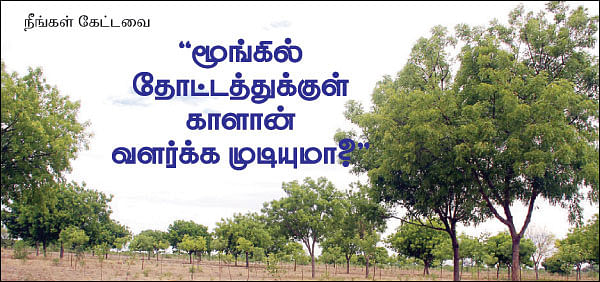 நீங்கள் கேட்டவை