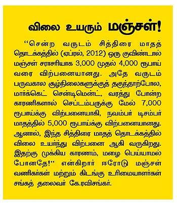 50 ஏக்கரில்... உலக மஞ்சள் மார்க்கெட்!