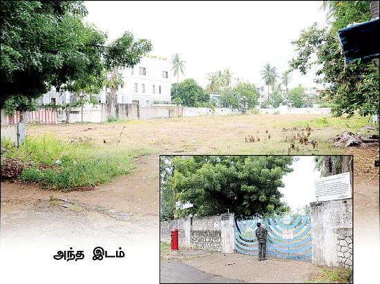 ''யானை, சிங்கம், புலிக்குப் பதில் சொல்வேன்... பூச்சிக்குப் பதில் சொல்ல முடியாது!''