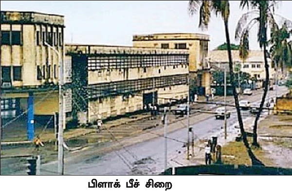 கிறுக்கு ராஜாக்களின் கதை! - 40 - வாழும் சர்வாதிகாரி!
