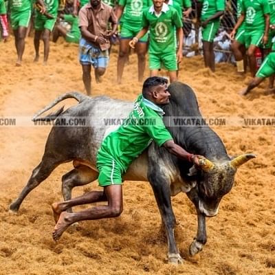 ஜல்லிக்கட்டு சத்ரியன்...ஆடுகள நாயகன்...மக்கள் மெச்சிய 'முரட்டுக்காளை' அப்பு #வைரல்வீடியோ