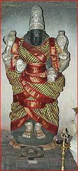 தேவாரத் திருவுலா!