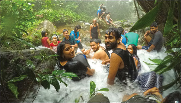 நீர்த்துளிகள்... ஈரத்திவலைகள்!