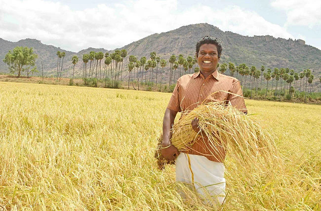 வெகுமதி கொடுக்கும் வெள்ளைப் பொன்னி...