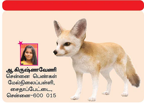 சுட்டி ஸ்டார் நியூஸ்!