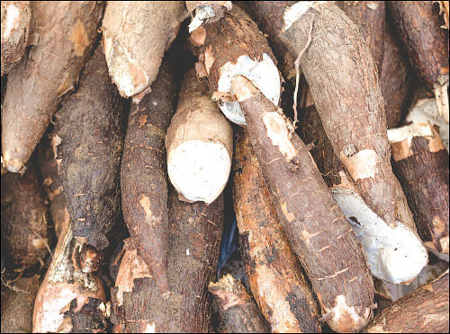நல்லனவெல்லாம் தரும் நாட்டுக்காய்கறிகள்
