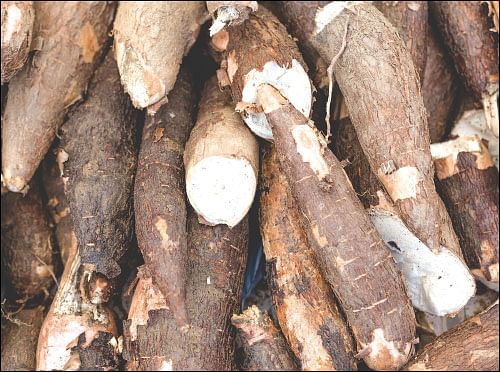 நல்லனவெல்லாம் தரும் நாட்டுக்காய்கறிகள்