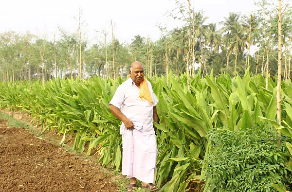 பஞ்சகவ்யா - 1