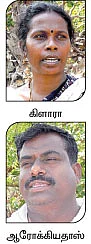 முதல்வரின் மரம் வெட்டும் திட்டம்...