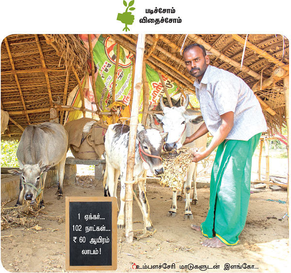 அன்று விரிவுரையாளர்... இன்று விவசாயி!
