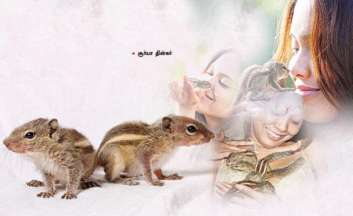 அணிலாடும் முன்றில் காண ஆசை!