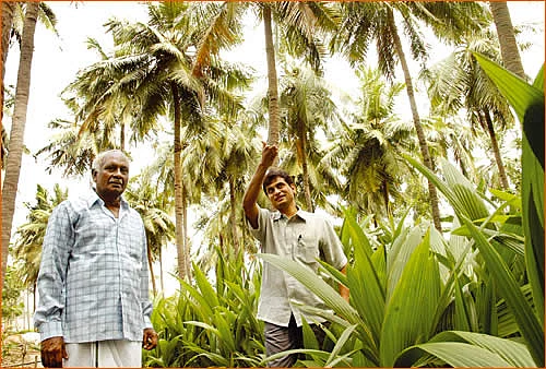 ‘மூளை’தனம் - ‘கவின் கேர்’ ரங்கநாதன்