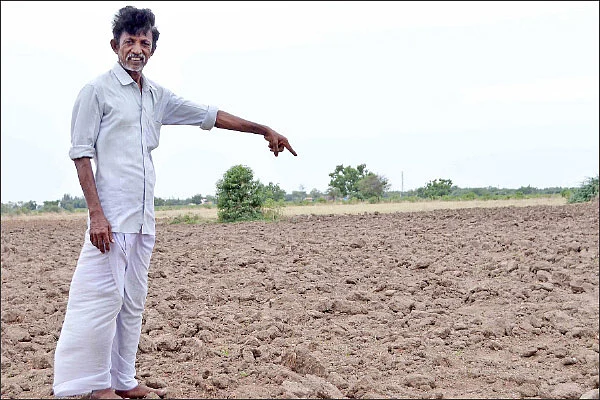 மானாவாரியிலும் மகத்தான லாபம் கொடுக்கும் பாசிப்பயறு,உளுந்து!