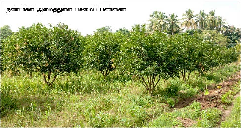 வெளிநாட்டு வேலைக்கு பூட்டு... இயற்கை விவசாயத்துடன் கூட்டு...